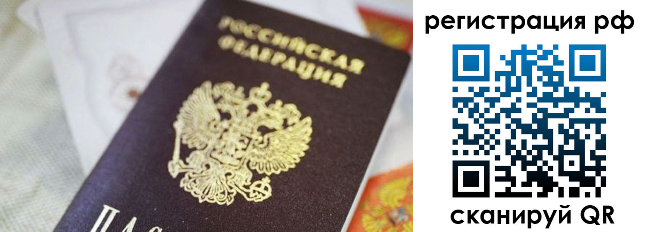 прописка гарантия в Истре